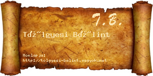Tölgyesi Bálint névjegykártya